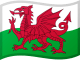 Wales World Cup Flag