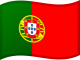 Portugal World Cup Flag