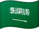Saudi Arabia World Cup Flag